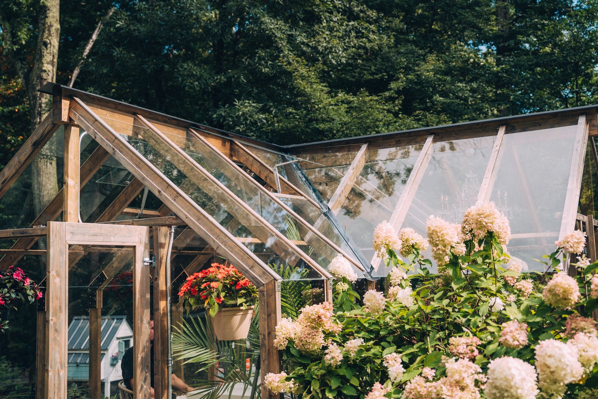 Nordwood roof vents open over hydrangeas