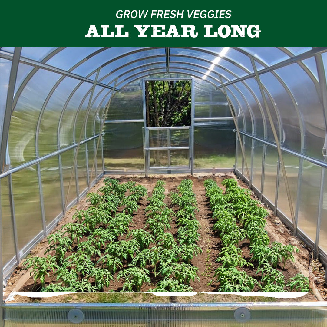 World's Most Popular Polycarbonate Greenhouse