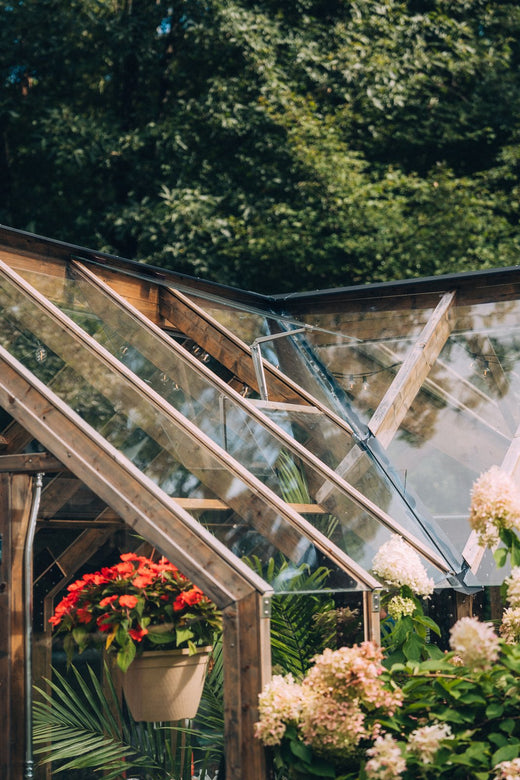 Nordwood glazing detail with hanging geraniums